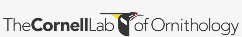 Cornell Lab And S&w Continue To Challenge Each Other - Right Bird, Right House: Western Us, transparent png download