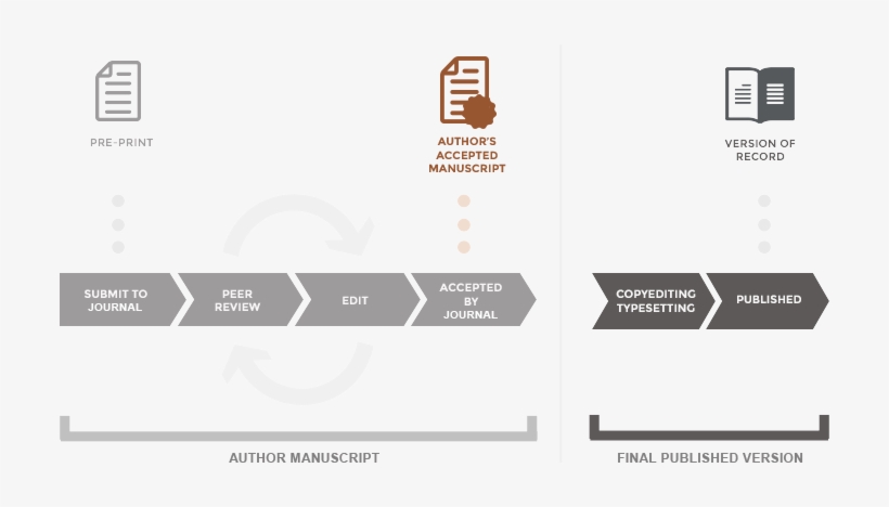 Author Manuscript Diagram - Author Accepted Manuscript, transparent png download