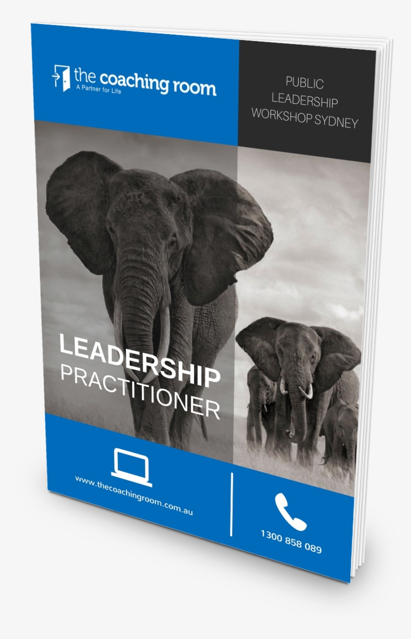 Leadership Practitioner Cover - African Elephant, transparent png download