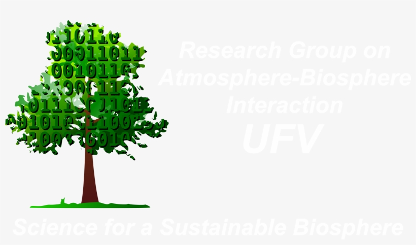 Deforestation And Rainfall - Mindful Wisdom By Sean Scully 9781478764052 (paperback), transparent png download