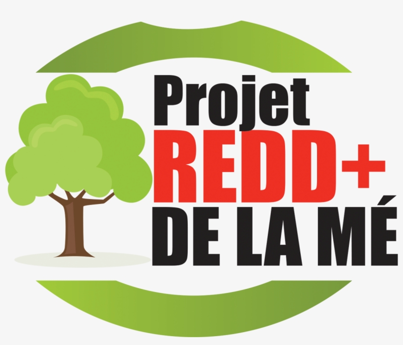 Gas Emissions From Deforestation And Forest Degradation - Portable Network Graphics, transparent png download