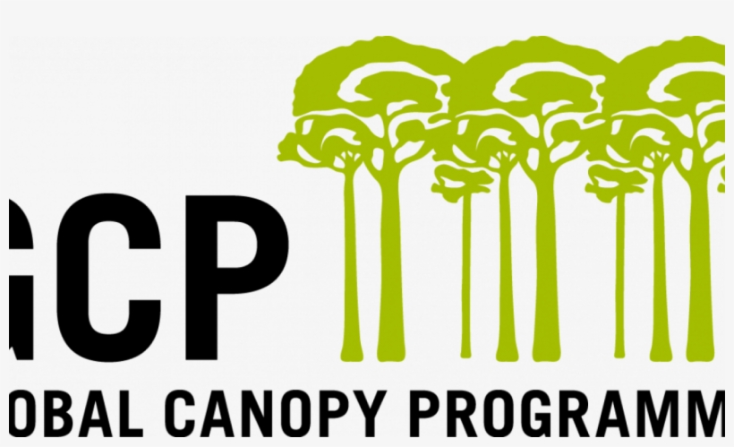 Can Companies Achieve Zero Deforestation In Their Supply - Global Canopy Programme, transparent png download
