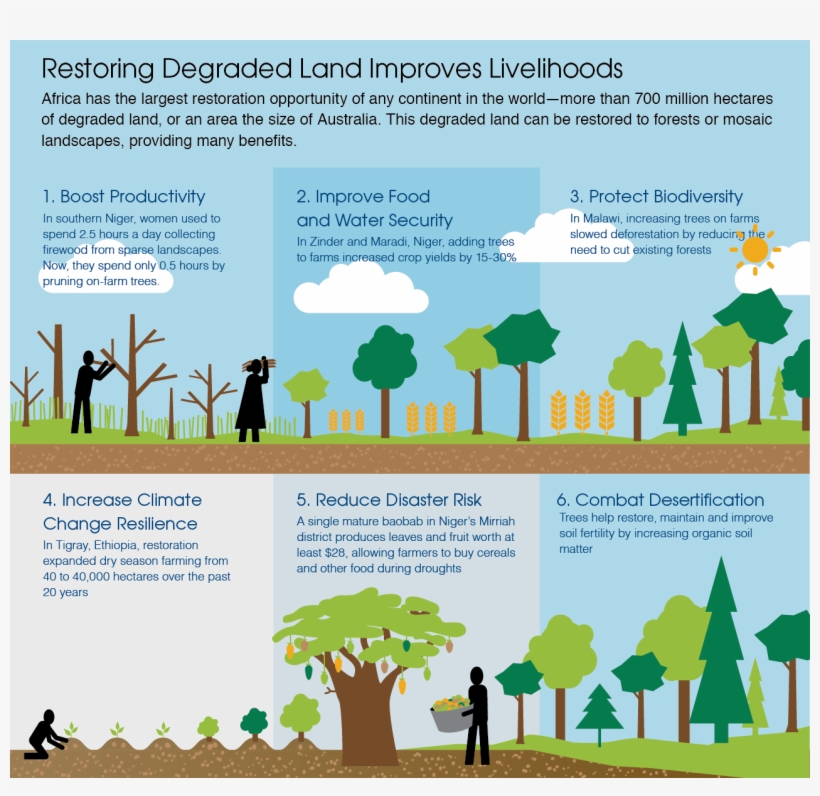 <p>click To Enlarge - Restoration Of Degraded Land, transparent png download