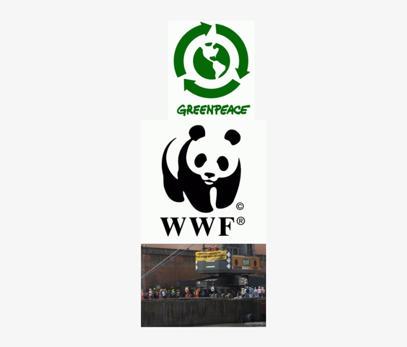 Some Of The Organisations Trying To Fight The Deforestation - Greenpeace Story By Brown Michael; May..., transparent png download