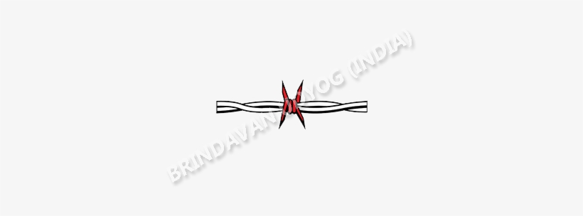 More Information About This Product - Wire, transparent png download