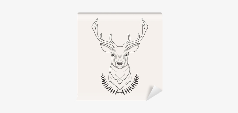 Vector Hand Drawn Illustration Of Deer And Laurel Wall - Deer Head Sketch, transparent png download