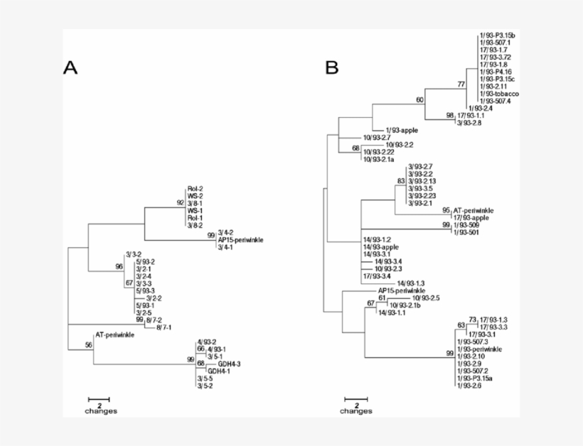Convergence Histories Of Preconditioned Gmres Inner - Primase, transparent png download