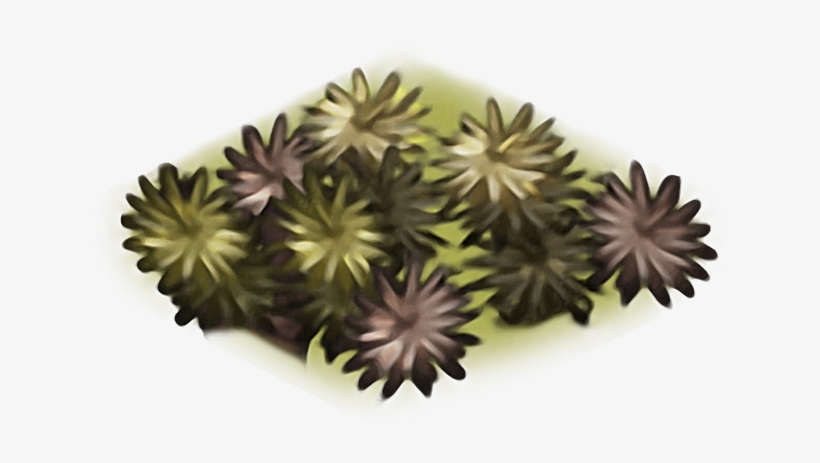 Yucka Path - Artificial Flower, transparent png download