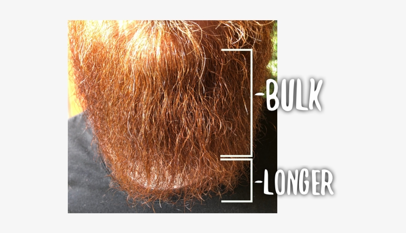 So, By Not Trimming - Lace Wig, transparent png download