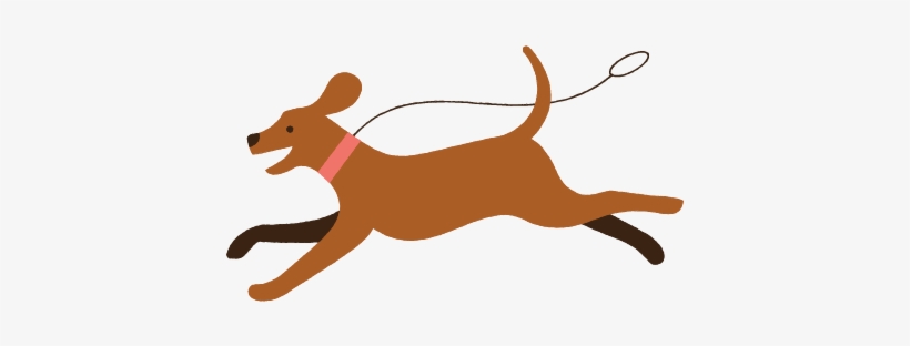 Alt=”” - Pet Insurance, transparent png download