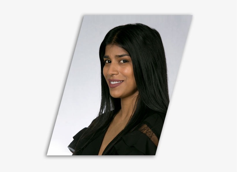 Misha Abdoollah - Lace Wig, transparent png download