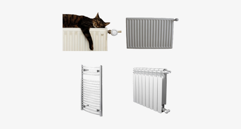 Wallmonkeys Wm367070 A Tiger Tabby Cat Relaxing W X, transparent png download