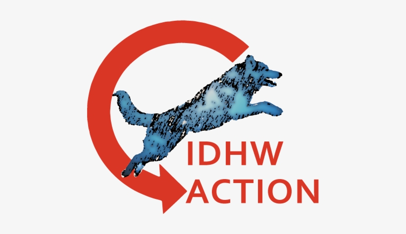 International Dog Health Workshops - Dog Catches Something, transparent png download