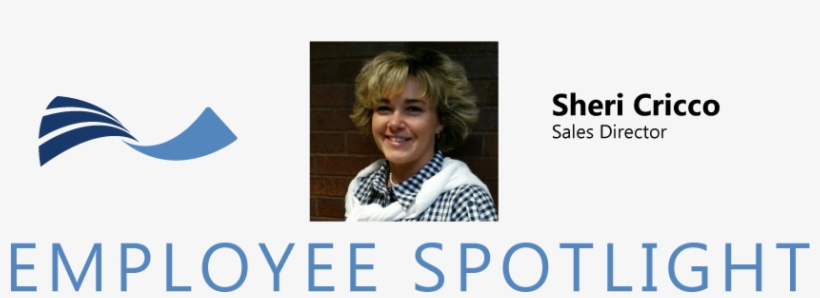 Sc Employee Spotlight Banner Orig - Step Cutting, transparent png download