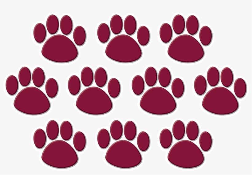 Tcr5046 Maroon Paw Prints Accents Image - Colorful Paw Prints Value-pak Stickers, transparent png download