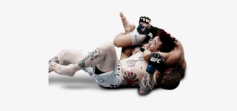 Ea Sports Ufc Download Transparent Png Image - Ufc Fight Png, transparent png download