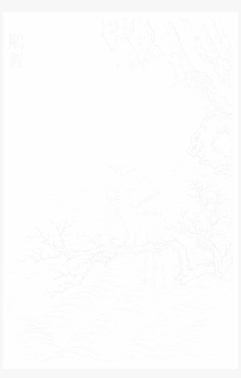 File - Imperial Encyclopaedia - Animal Kingdom - Pic007 - Illustration, transparent png download