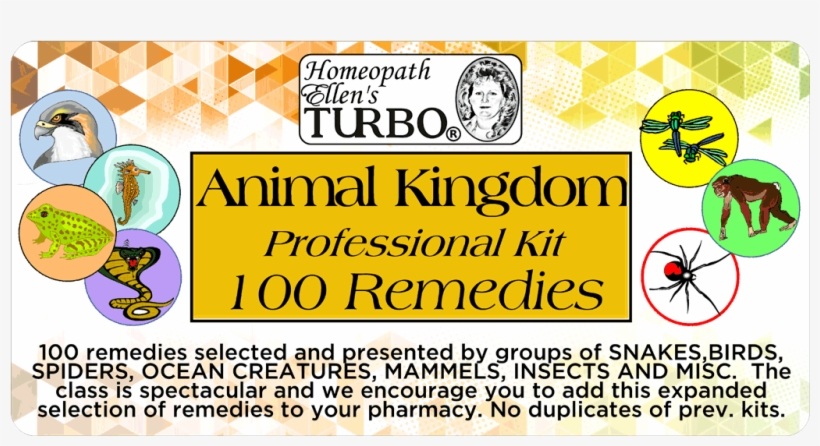 Animal Kingdom Kit - Orchidia, transparent png download