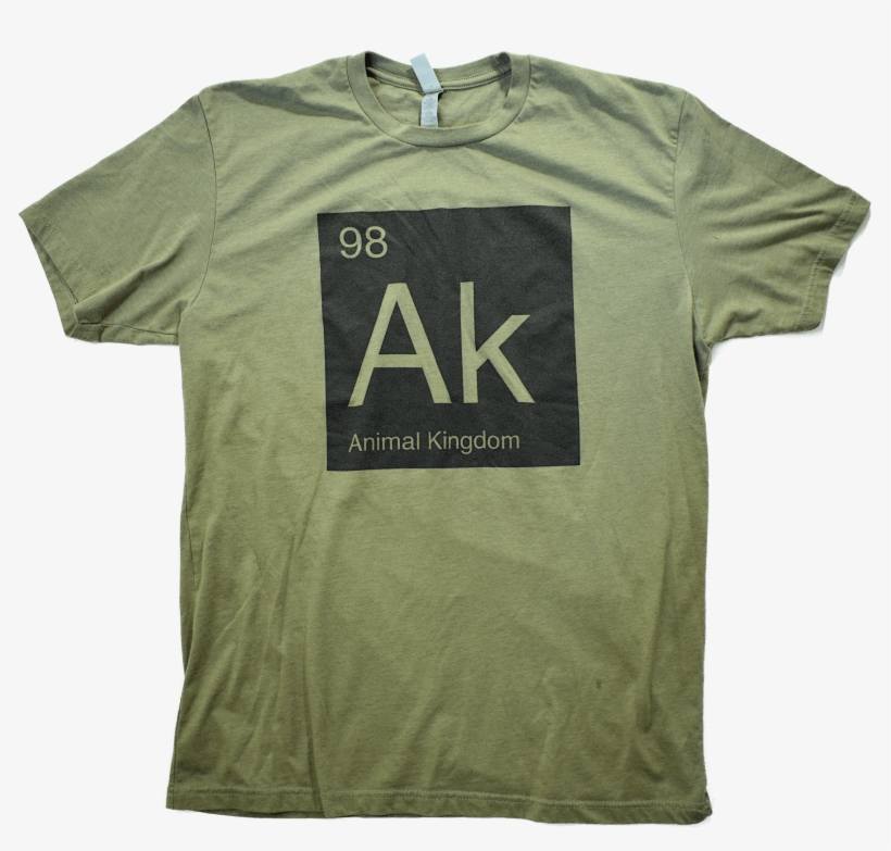 Animal Kingdom Park Elements Tee - Polyester, transparent png download