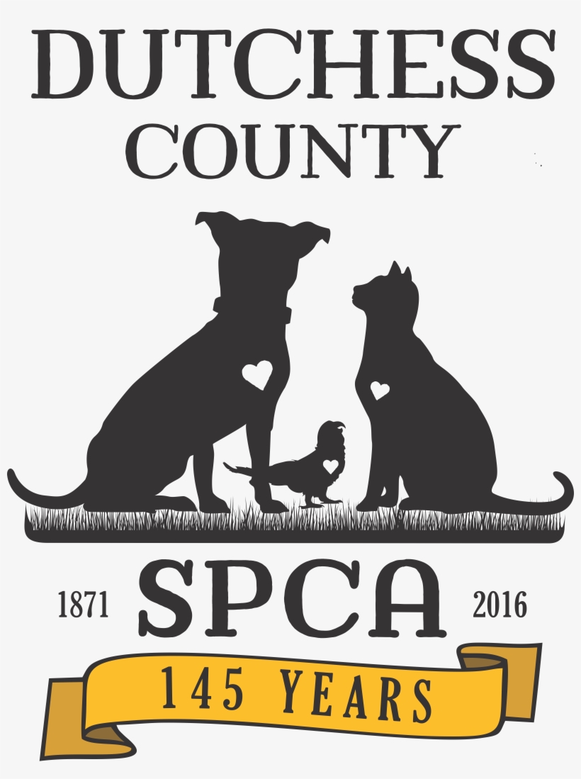 Animal Kingdom Ball- 145th Birthday Party Of The Dcspca - Dutchess County Spca, transparent png download