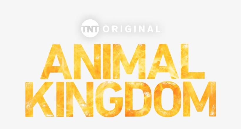 Animal Kingdom Png, transparent png download