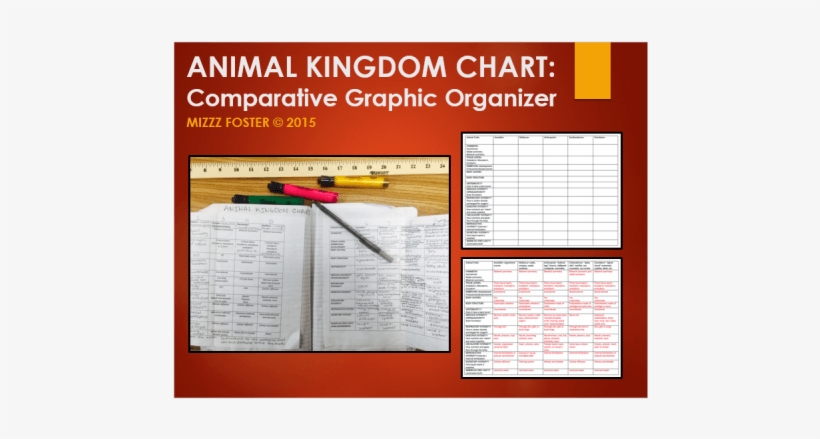 Animal Kingdom Comparative Chart Educents - Educents Inc., transparent png download
