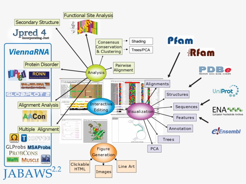 Thank You To Everyone Who Kindly Wrote Letters Of Support - Diagram, transparent png download