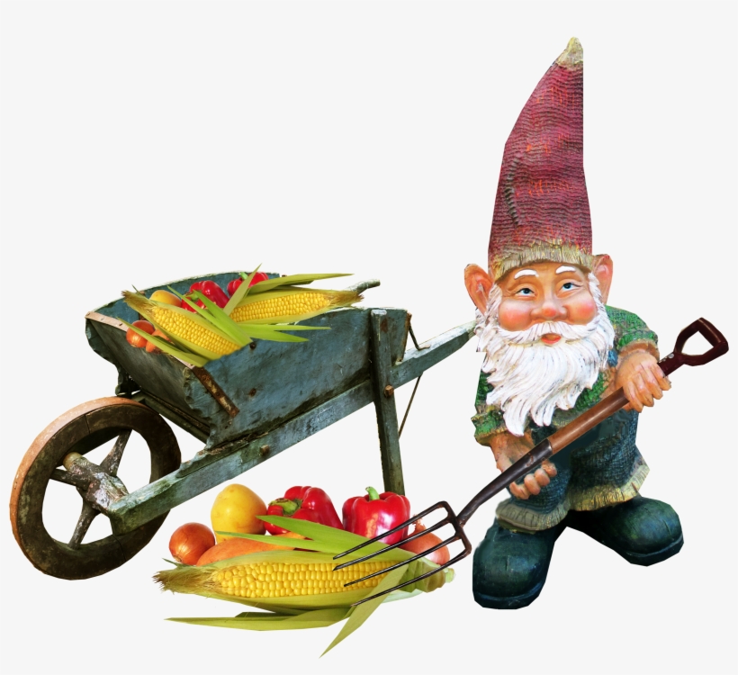 Photograph, transparent png download