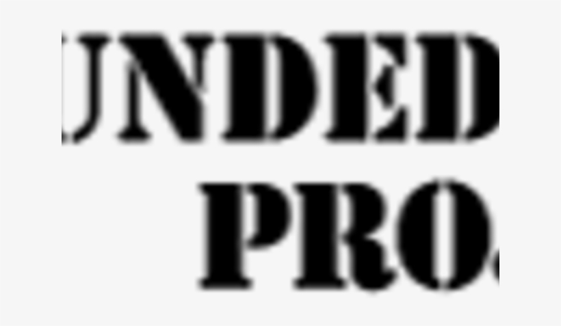 Wounded Warrior Project, Chicago, Il Logo - Wounded Warrior Project, transparent png download