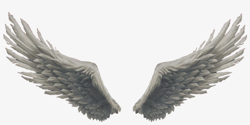 Report Abuse - Lets Fly With Our Beautiful Wings In 2017, transparent png download