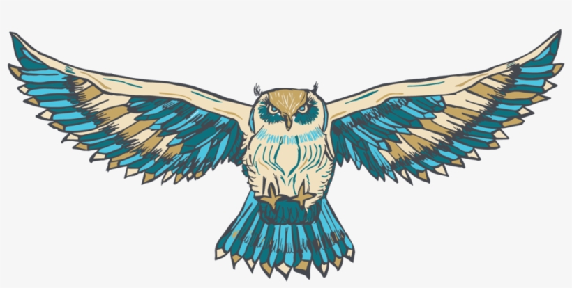 Bird Wing Png, transparent png download