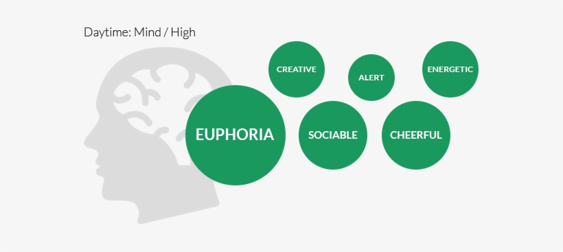 Sativa-effect - Circle, transparent png download