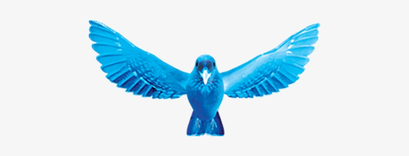 Blue Wings Character - Blue Wings, transparent png download