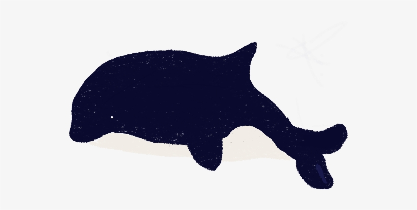 Whales, transparent png download