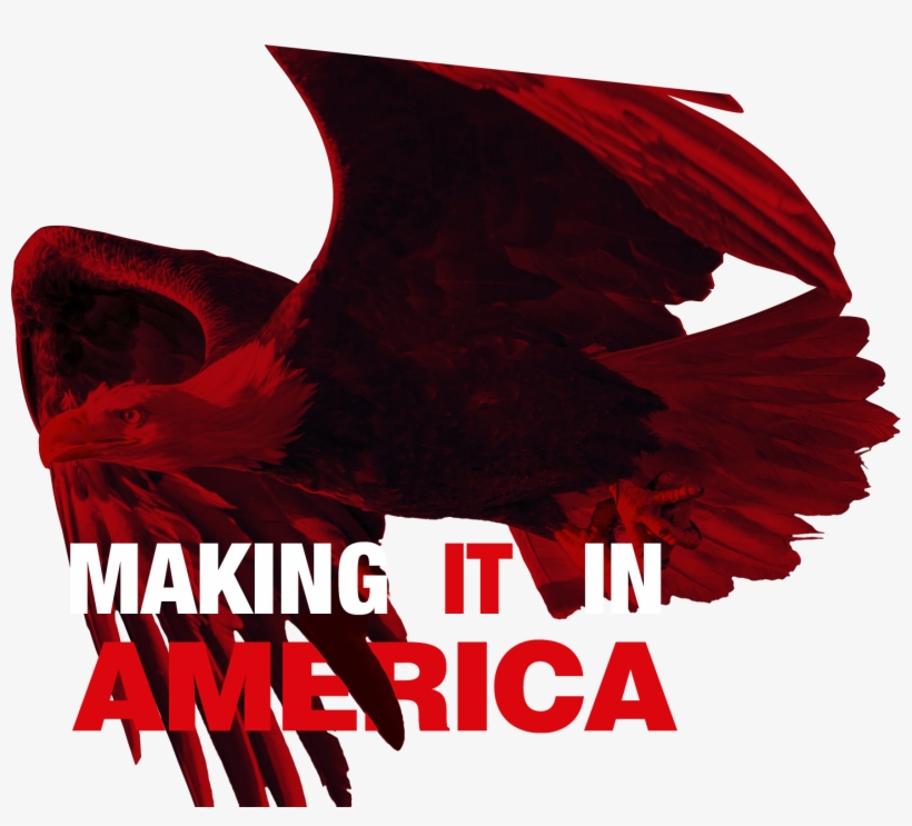We Fit The Mold - Graphic Design, transparent png download