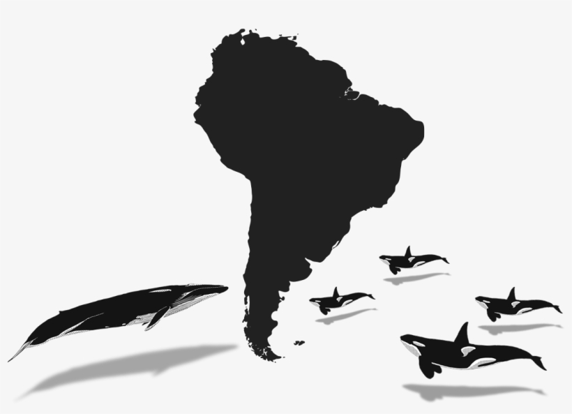 2018 - South America Silhouette, transparent png download