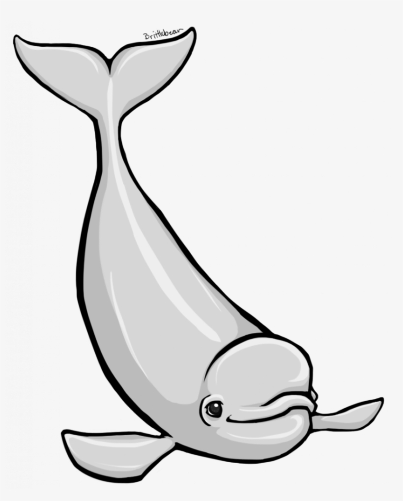 Beluga Clipart, transparent png download