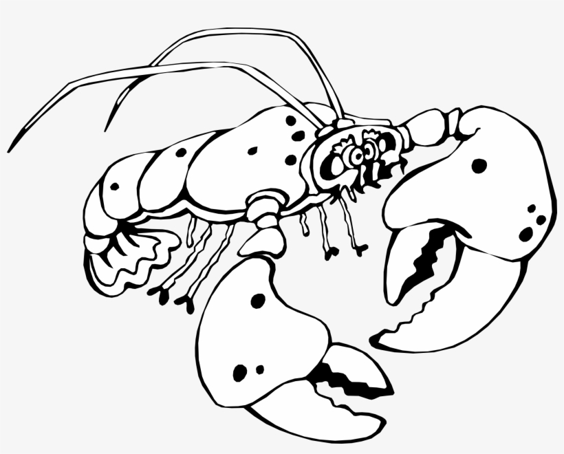 Lobster Clipart Of A Black And White Crayfish Veran - Clip Art, transparent png download