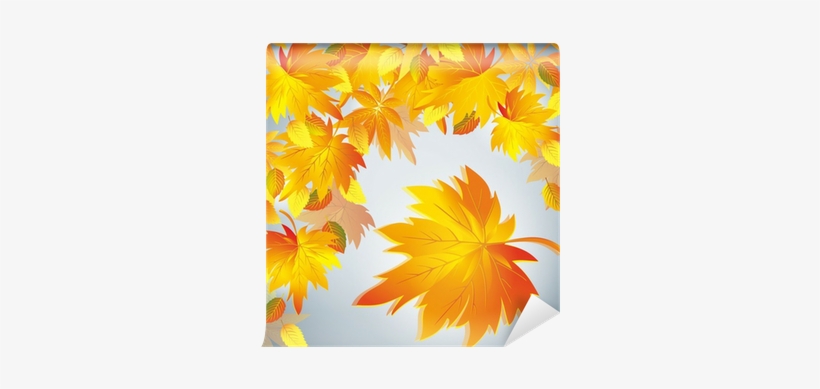 Autumn Leaf Fall Background With Yellow Leaf - Осенний Листопад Фото, transparent png download