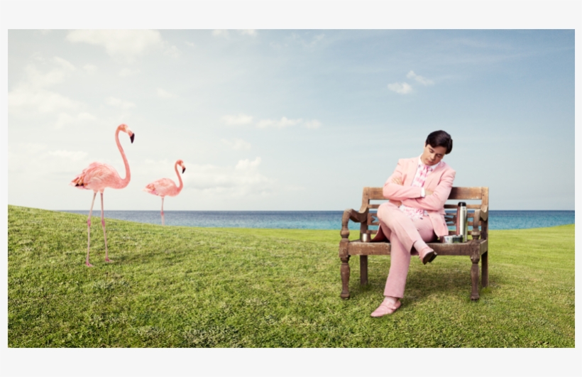 Pleased - Greater Flamingo, transparent png download