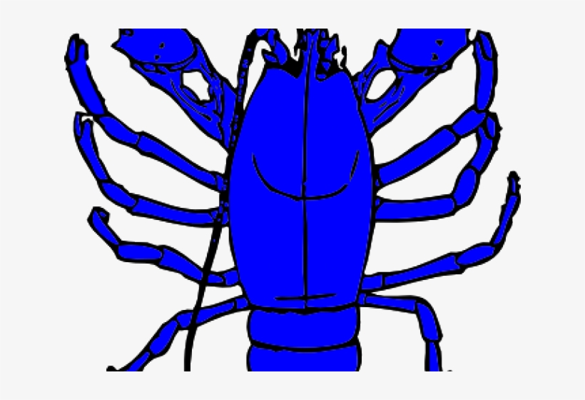Lobster Clipart Crayfish - Red Lobster Clip Art, transparent png download