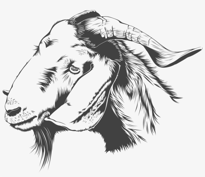 Free Download Goat Silhouette Clipart Anglo-nubian - Goat Silhouette, transparent png download