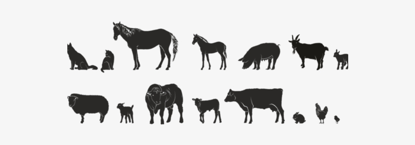 This Is A Great Opportunity To Expand Your Knowledge - Bull 5'x7'area Rug, transparent png download