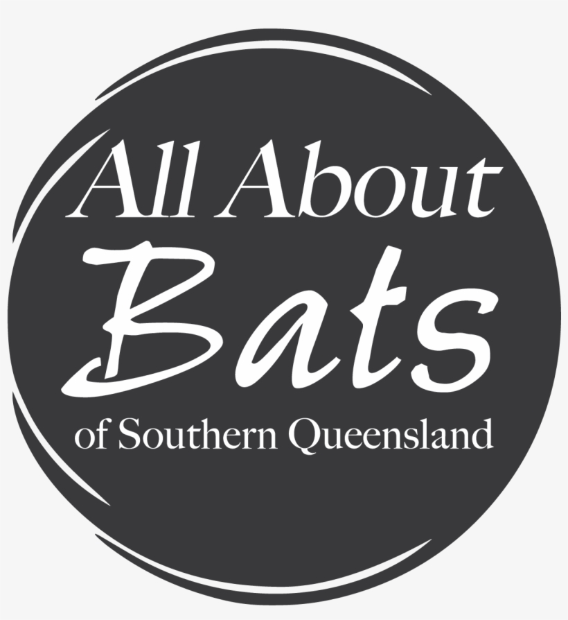 Bat, transparent png download