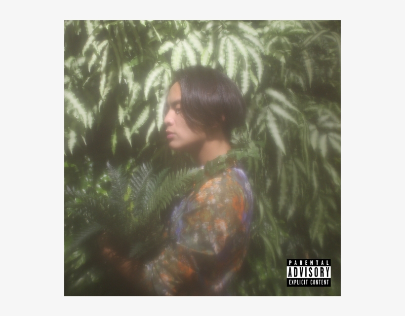 Green Day: Bullet In A Bible (2005), transparent png download