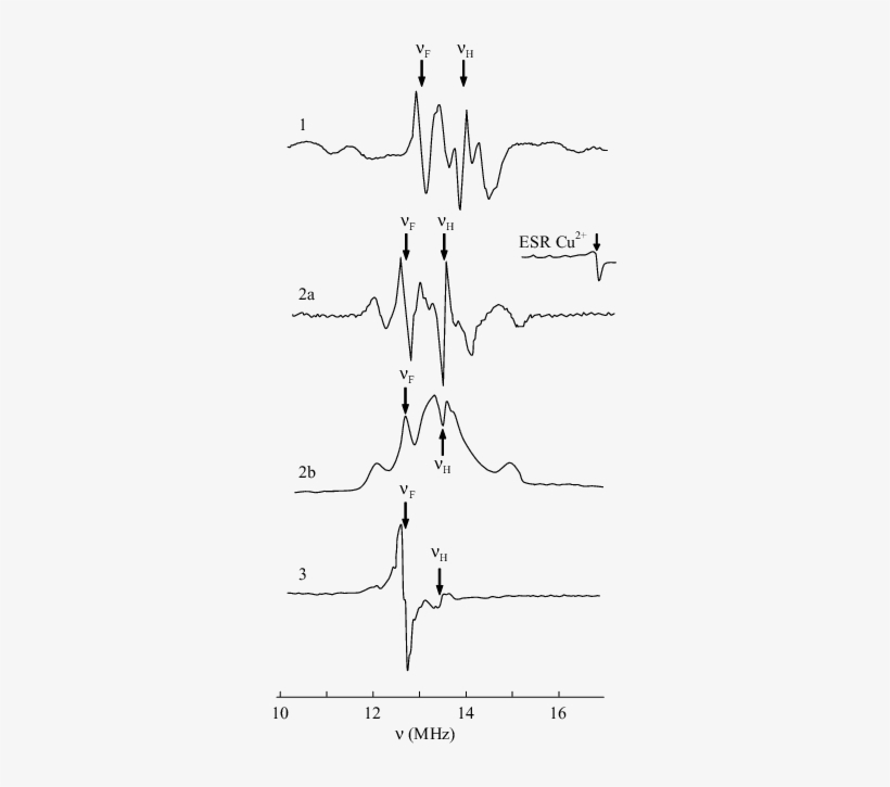 Matrix Endor Spectra Of 2 (spectrum 1) And Cu 2 (spectra - Diagram, transparent png download