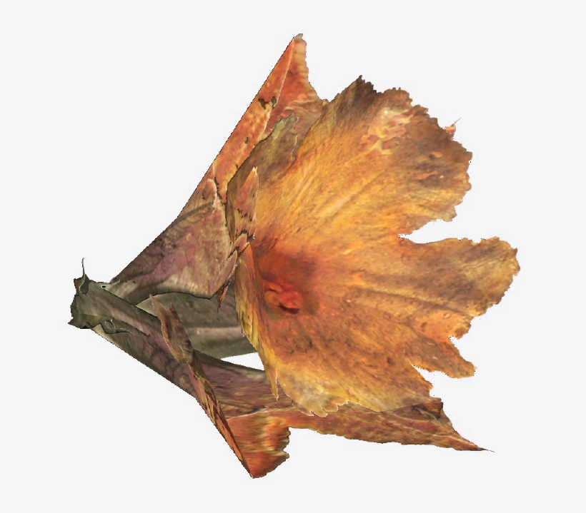 The Vault Fallout Wiki - Maple, transparent png download