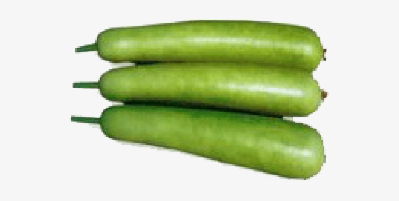 Report An Abuse For Product Bottle Gourd - Bottle Gourd Png, transparent png download