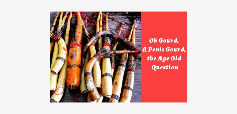 Oh Gourd, A Penis Gourd, The Age Old Question - Koteka, transparent png download