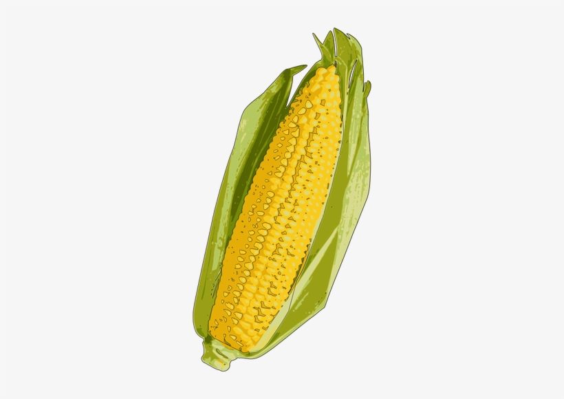Corn Clipart Corn Roast - Yellow Corn, transparent png download